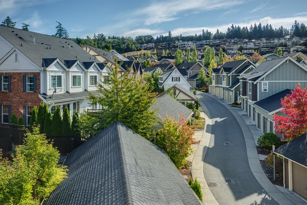 Tree-lined residential street surrounded by homes in the Issaquah Highlands