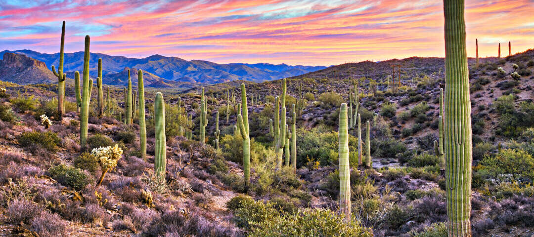 az Photo