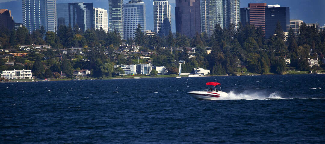 Bellevue Photo