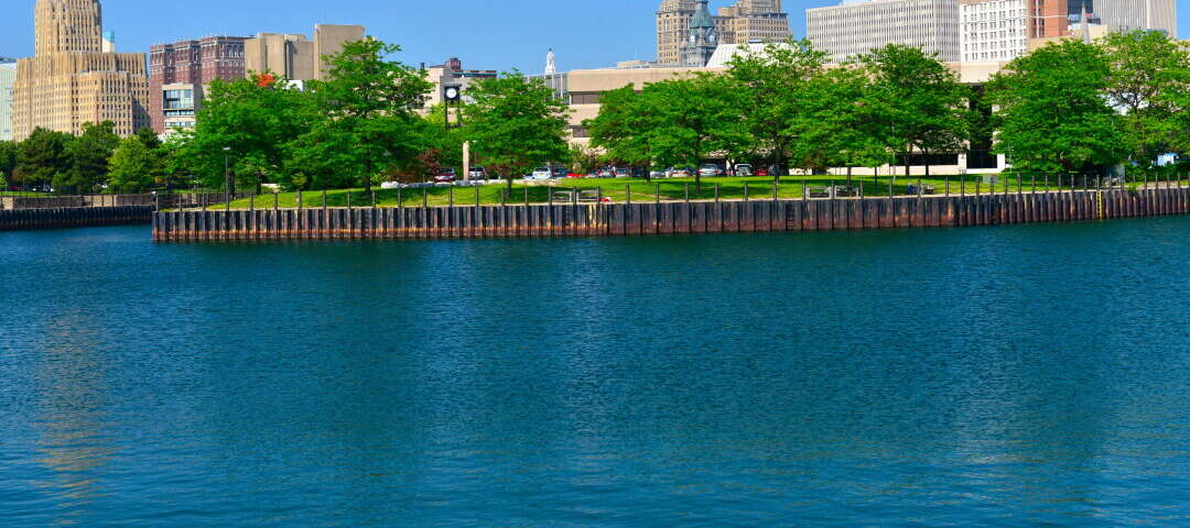 Buffalo Photo