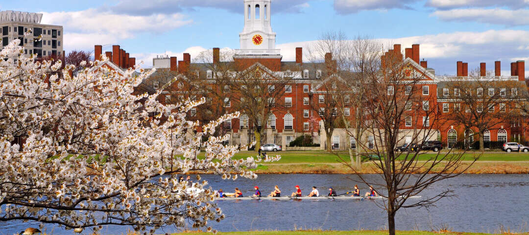 Cambridge Photo