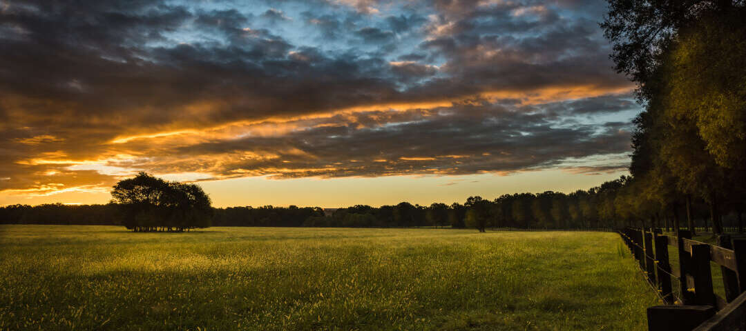 Concord Photo