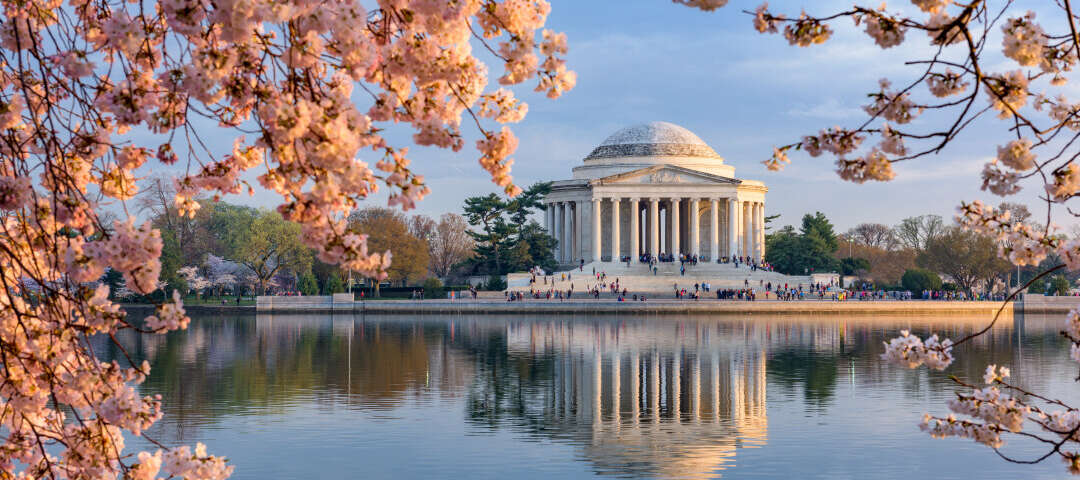 dc Photo