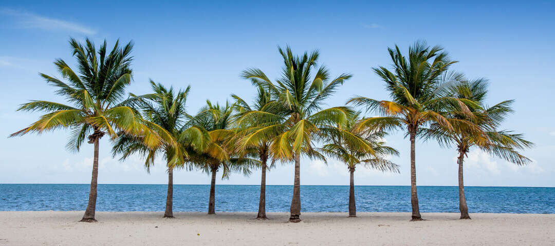 fl Photo
