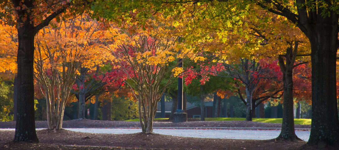 Greenville Photo