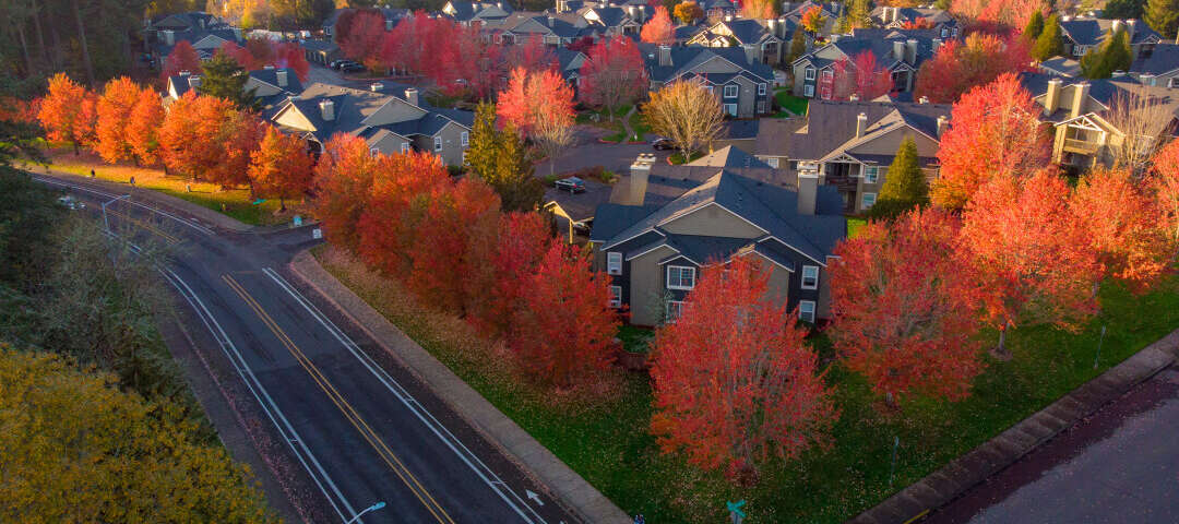 Hillsboro Photo