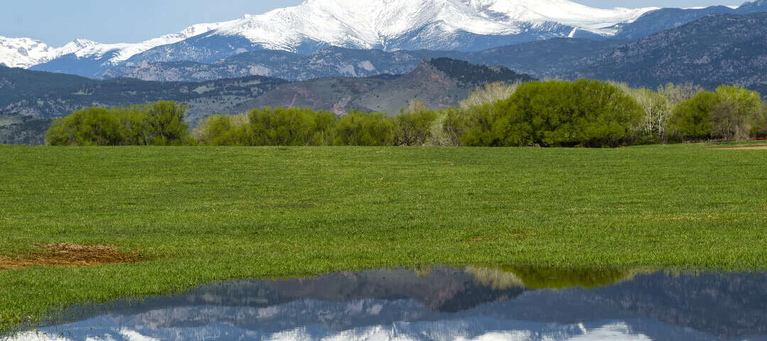 Longmont Photo