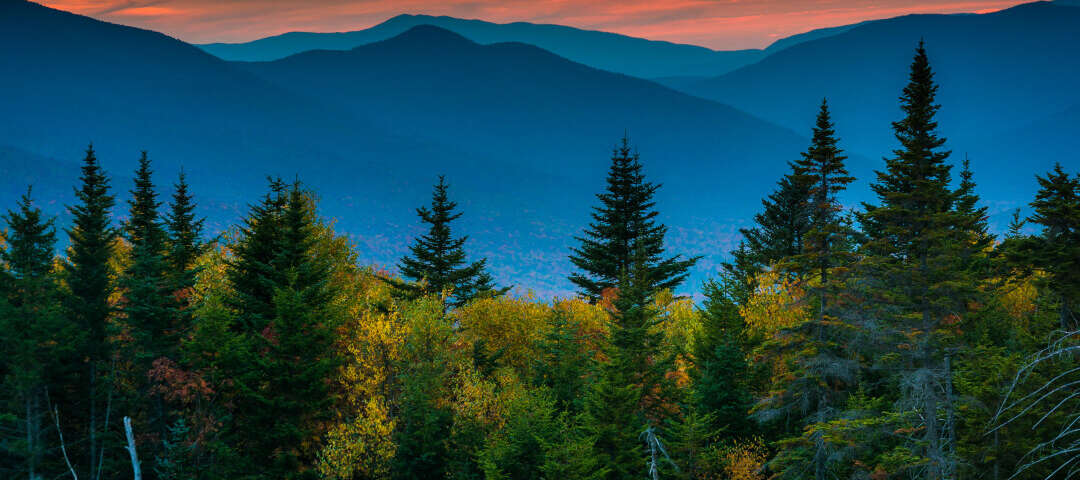nh Photo