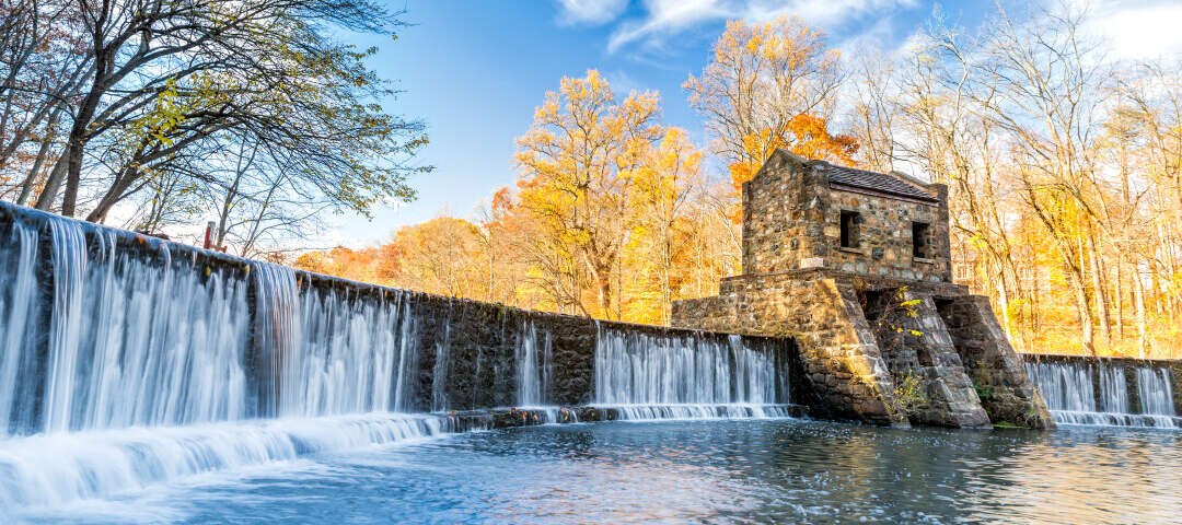 nj Photo
