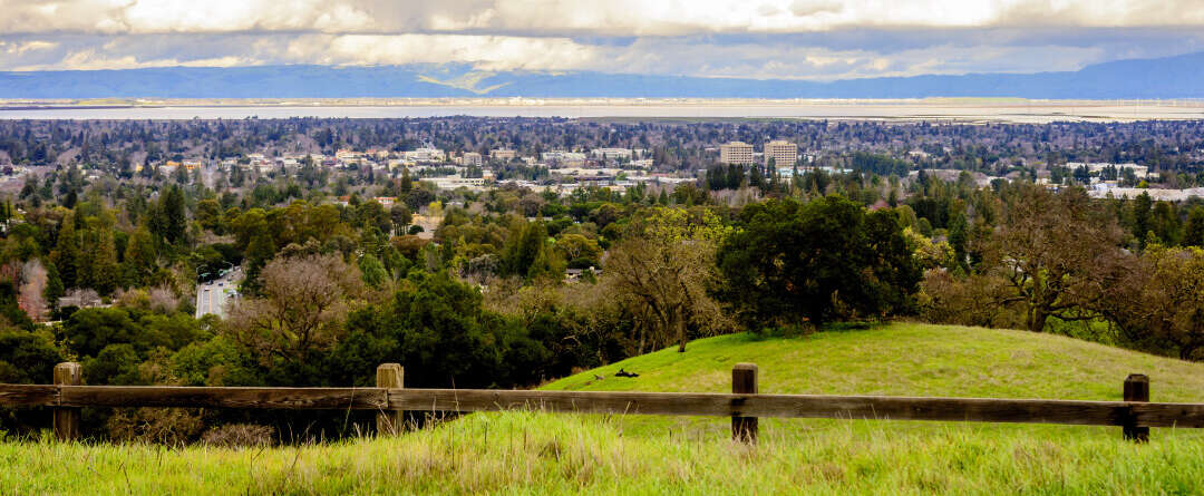 Palo Alto Photo