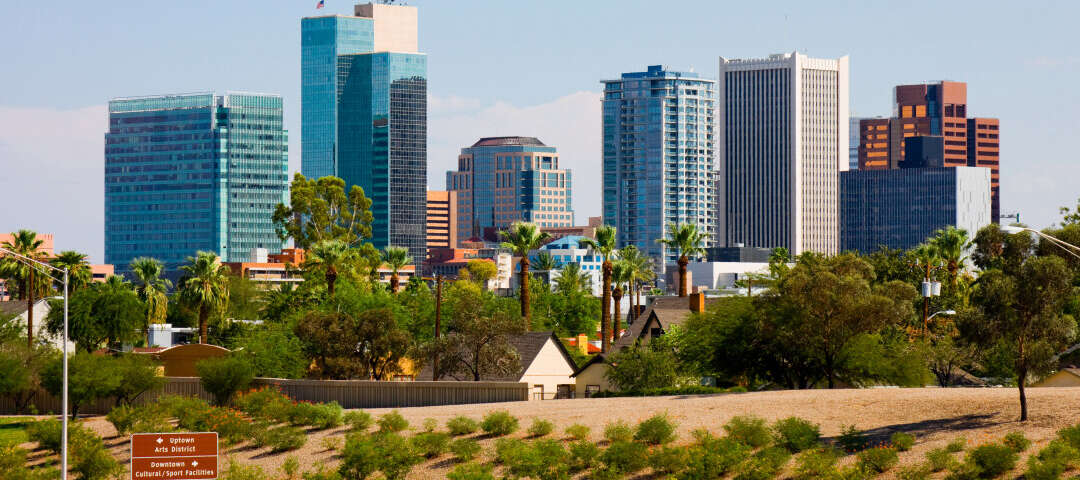 Phoenix Photo