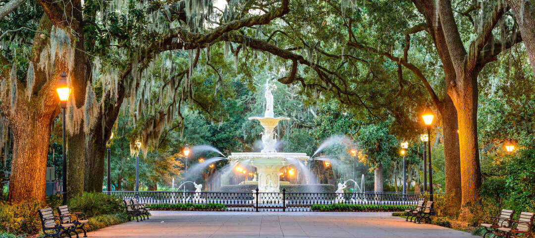 Savannah Photo