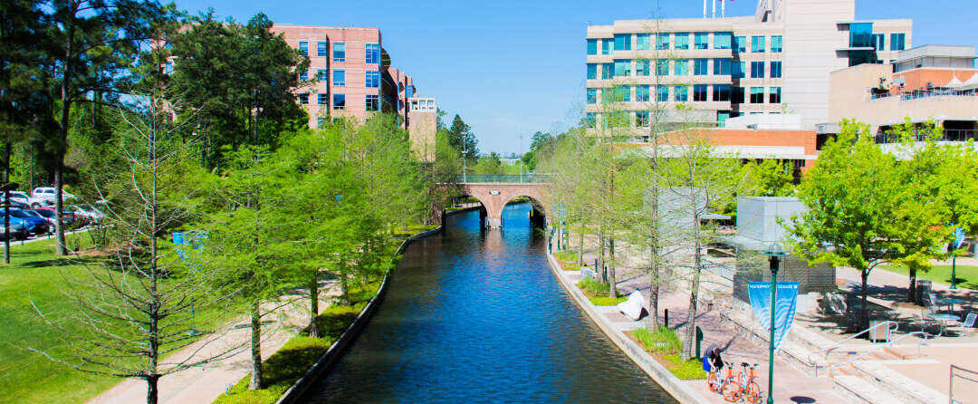 The Woodlands Photo