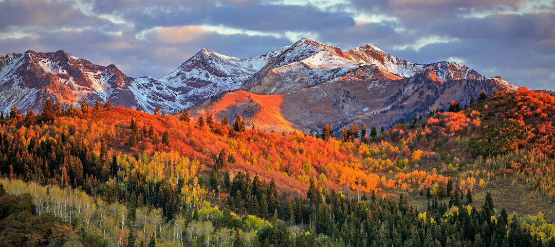 ut Photo