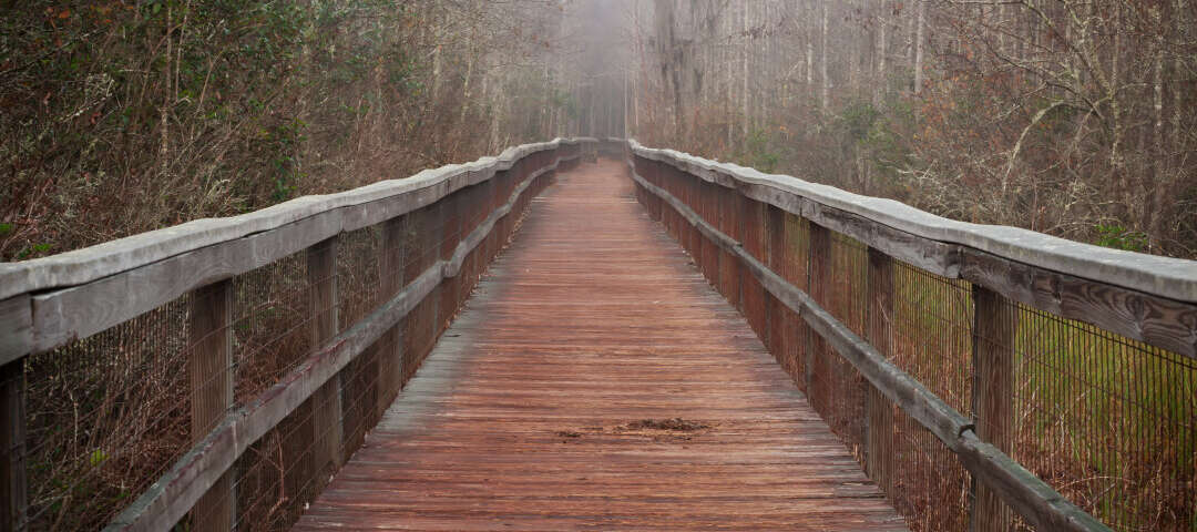 Valdosta Photo