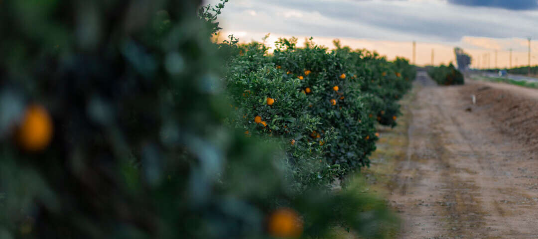 Visalia Photo