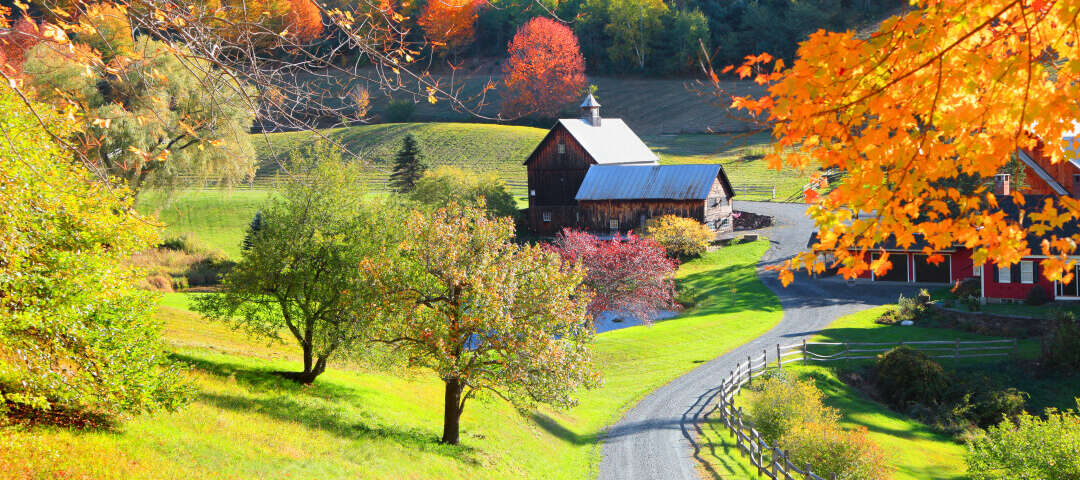 vt Photo