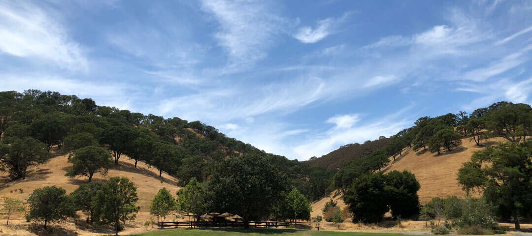 Walnut Creek Photo
