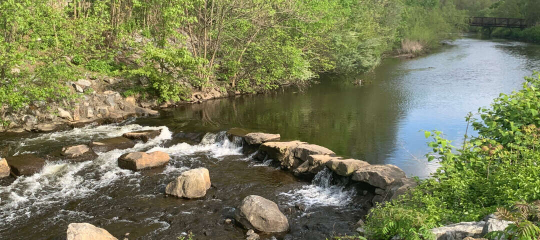Waterbury Photo
