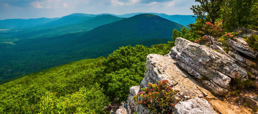 wv Photo